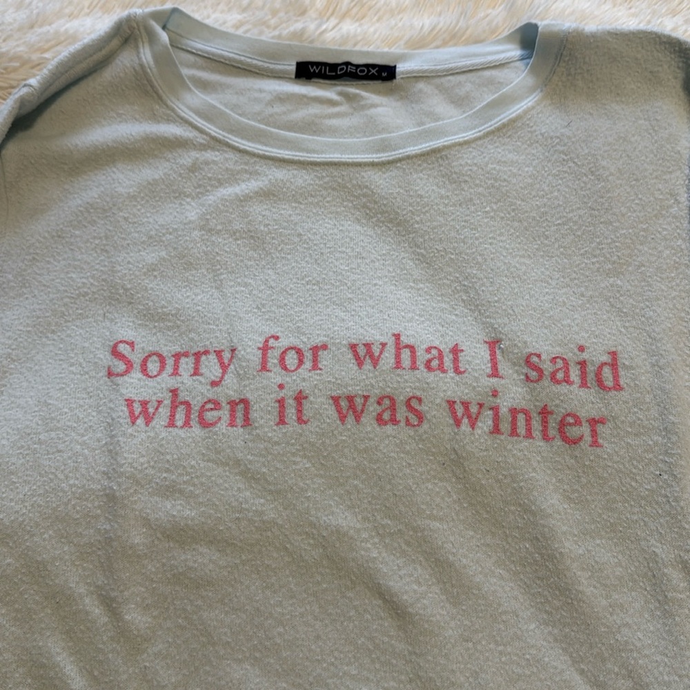 Wildfox blue “Sorry for what I said when it was winter” sweatshirt top M - Picture 3 of 9